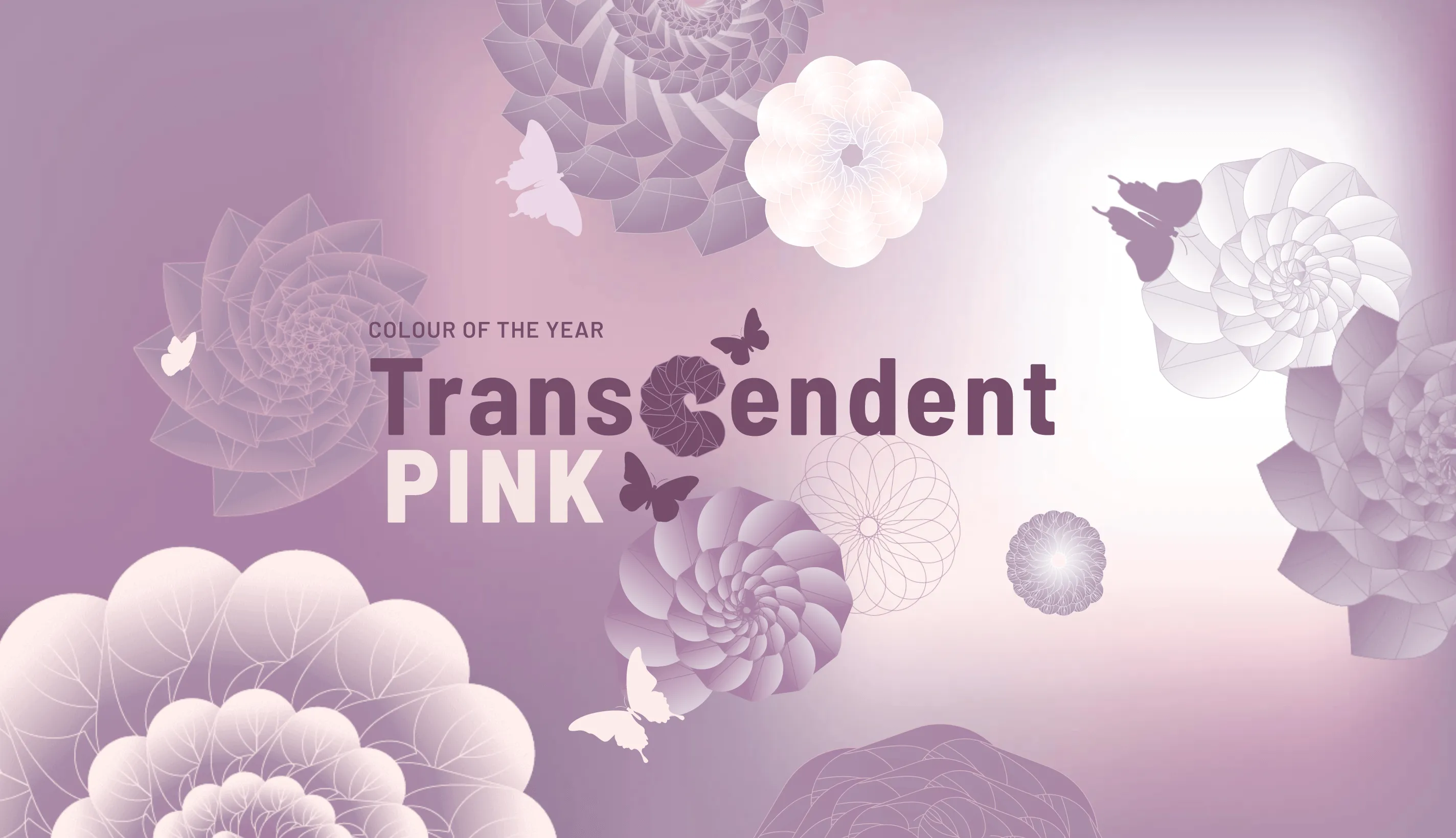 Transcendent Pink